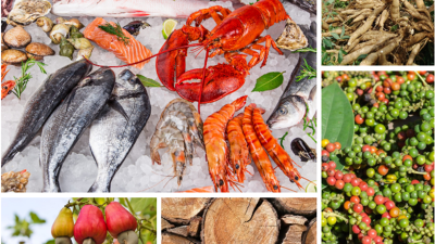 5M agro-forestry-fisheries exports harvest $24.14 bln