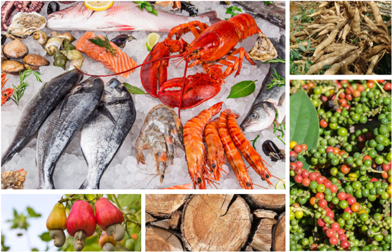 5M agro-forestry-fisheries exports harvest $24.14 bln