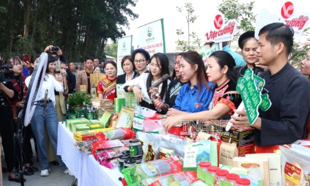 “Cầm tay, chỉ việc” các hợp tác xã kinh doanh thành thạo trên nền tảng số