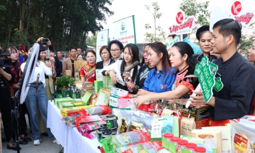 “Cầm tay, chỉ việc” các hợp tác xã kinh doanh thành thạo trên nền tảng số