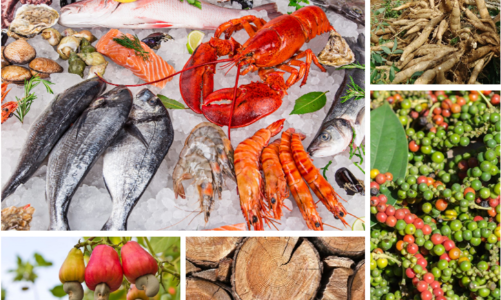 Xuất khẩu nông lâm thủy sản 5 tháng đầu năm 2024: Nhiều nhóm hàng chủ lực tăng trưởng cao