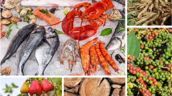 Xuất khẩu nông lâm thủy sản 5 tháng đầu năm 2024: Nhiều nhóm hàng chủ lực tăng trưởng cao