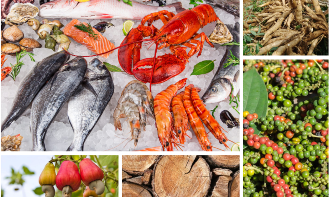 Xuất khẩu nhiều loại nông lâm thủy sản đang tăng trưởng mạnh mẽ.