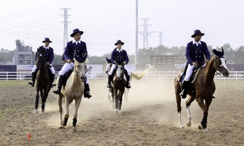 Vingroup ra mắt Học viện cưỡi ngựa và phố đi bộ trên đảo hoàng gia Vũ Yên