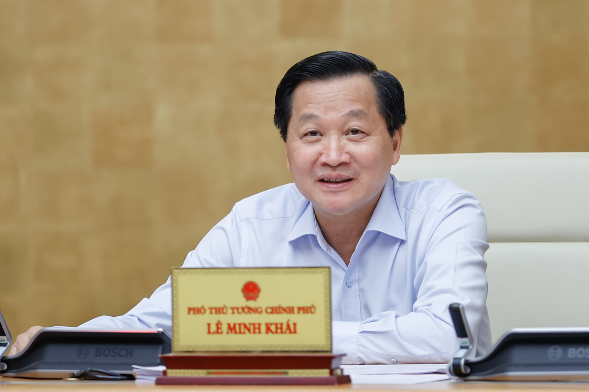 Phó Thủ tướng Lê Minh Khái phát biểu tại phiên họp - Ảnh: VGP