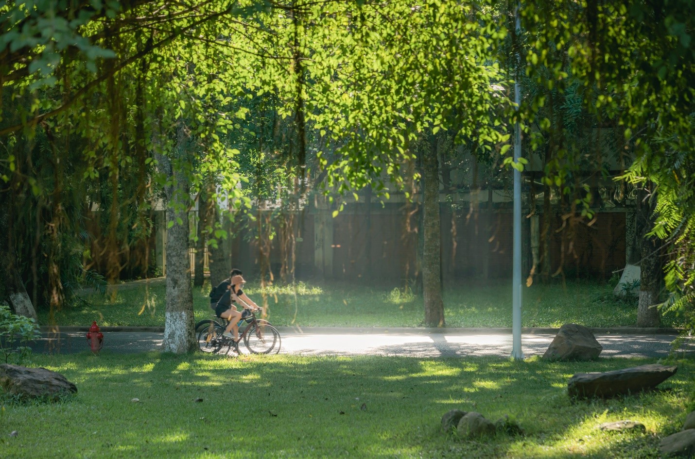 Cây xanh tại Ecopark được trồng thành 5 tầng, lớp.