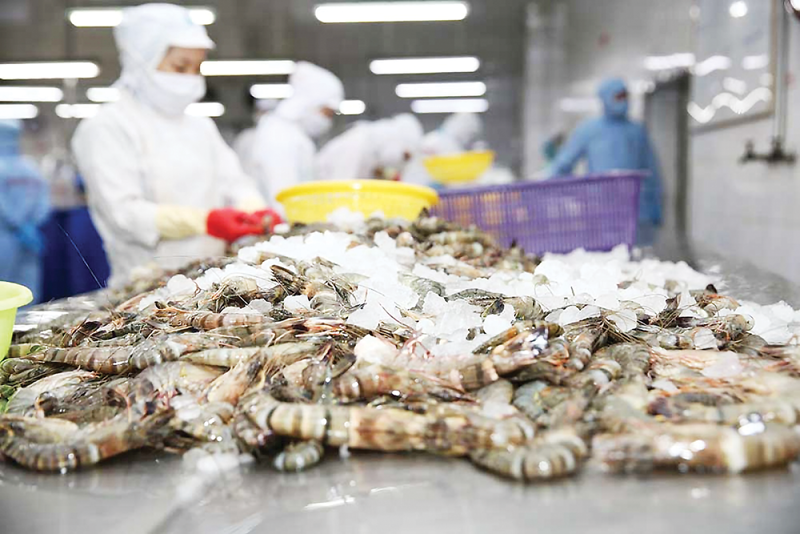 Shrimp exports hit $1.33 bln in 5M