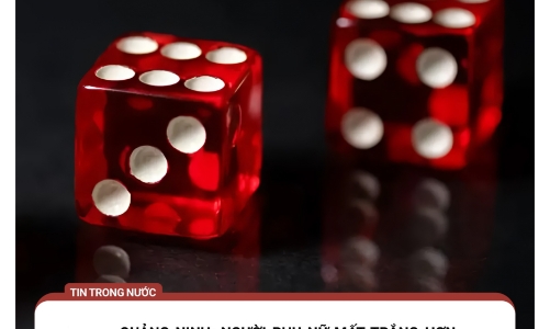 Mất 14,7 tỷ đồng vì tham gia trò chơi cá cược trên mạng