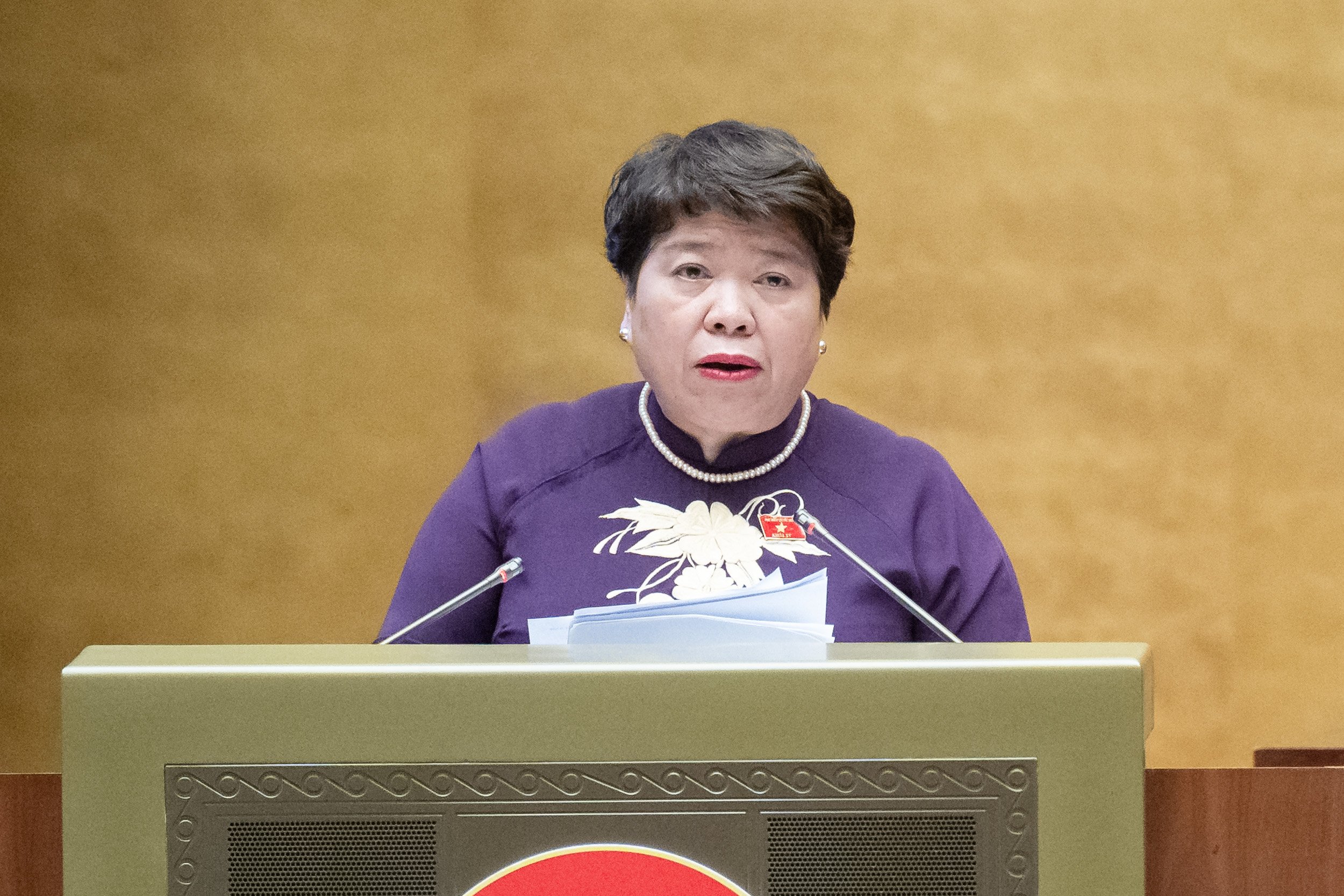 Chủ nhiệm Ủy ban X&atilde; hội Nguyễn Th&uacute;y Anh b&aacute;o c&aacute;o thẩm tra dự &aacute;n luật. Ảnh: Quochoi.vn.