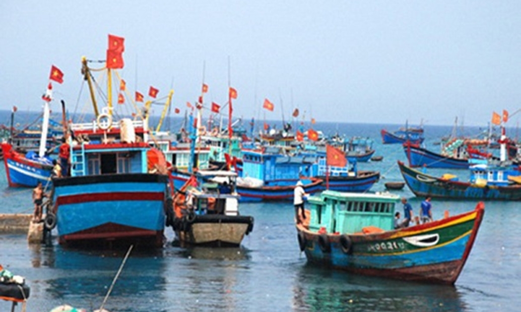 Thủy sản đã trở thành ngành kinh tế mũi nhọn của đất nước.