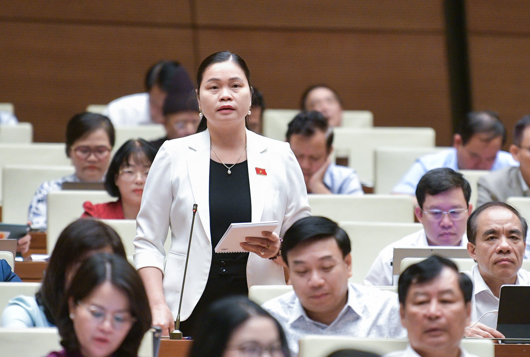 Đại biểu Ma Thị Thúy, đoàn Tuyên Quang, chất vấn.
