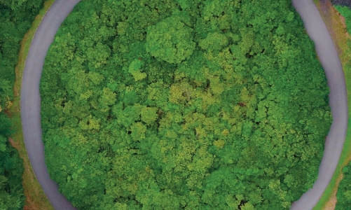 Doanh nghiệp Việt Nam vẫn gặp khó trong triển khai các chiến lược ESG