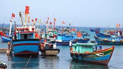 Vietnam targets sustainable and modern fisheries