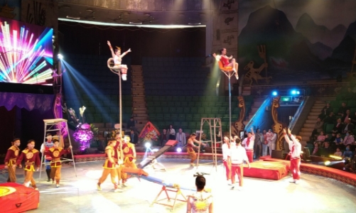 Đề xuất viên chức ngành nghệ thuật biểu diễn là nghề nặng nhọc để được nghỉ hưu sớm 