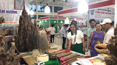 Da Nang Vietnamese Goods Fair 2024 opens