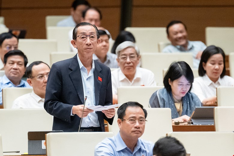 Đại biểu Trần Hoàng Ngân, đoàn TP. Hồ Chí Minh.