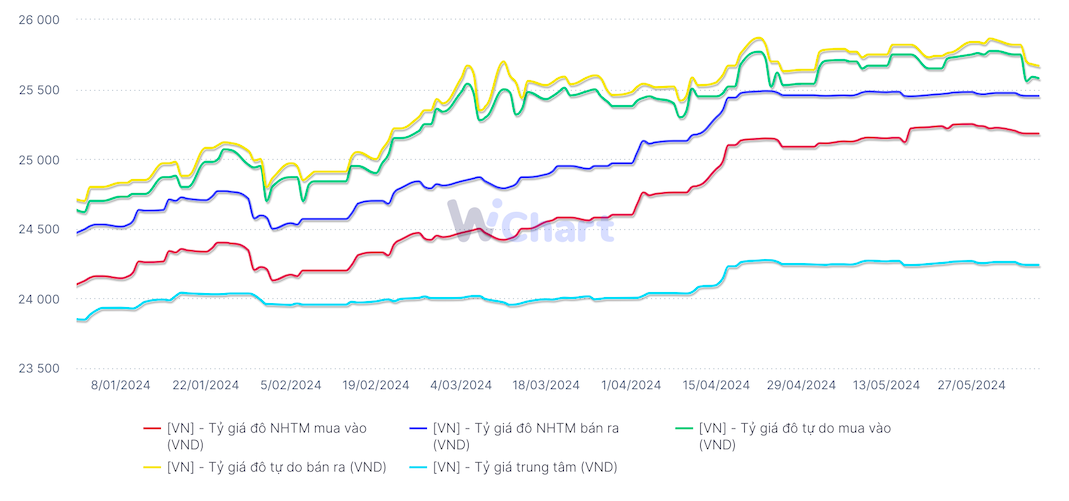 Diễn biến tỷ giá từ đầu năm tới nay (Nguồn: WiGroup)