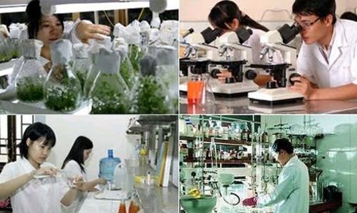 Bất cập xử lý tài sản hình thành từ nhiệm vụ khoa học công nghệ sử dụng ngân sách