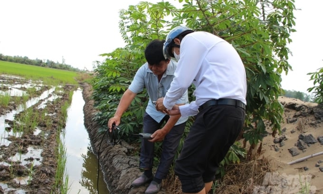 Diện tích lúa đông xuân bị chết và giảm năng suất do nhiễm mặn hai bên cao tốc Cần Thơ - Cà Mau là 2,48ha - Ảnh: Báo Nông nghiệp Việt Nam.