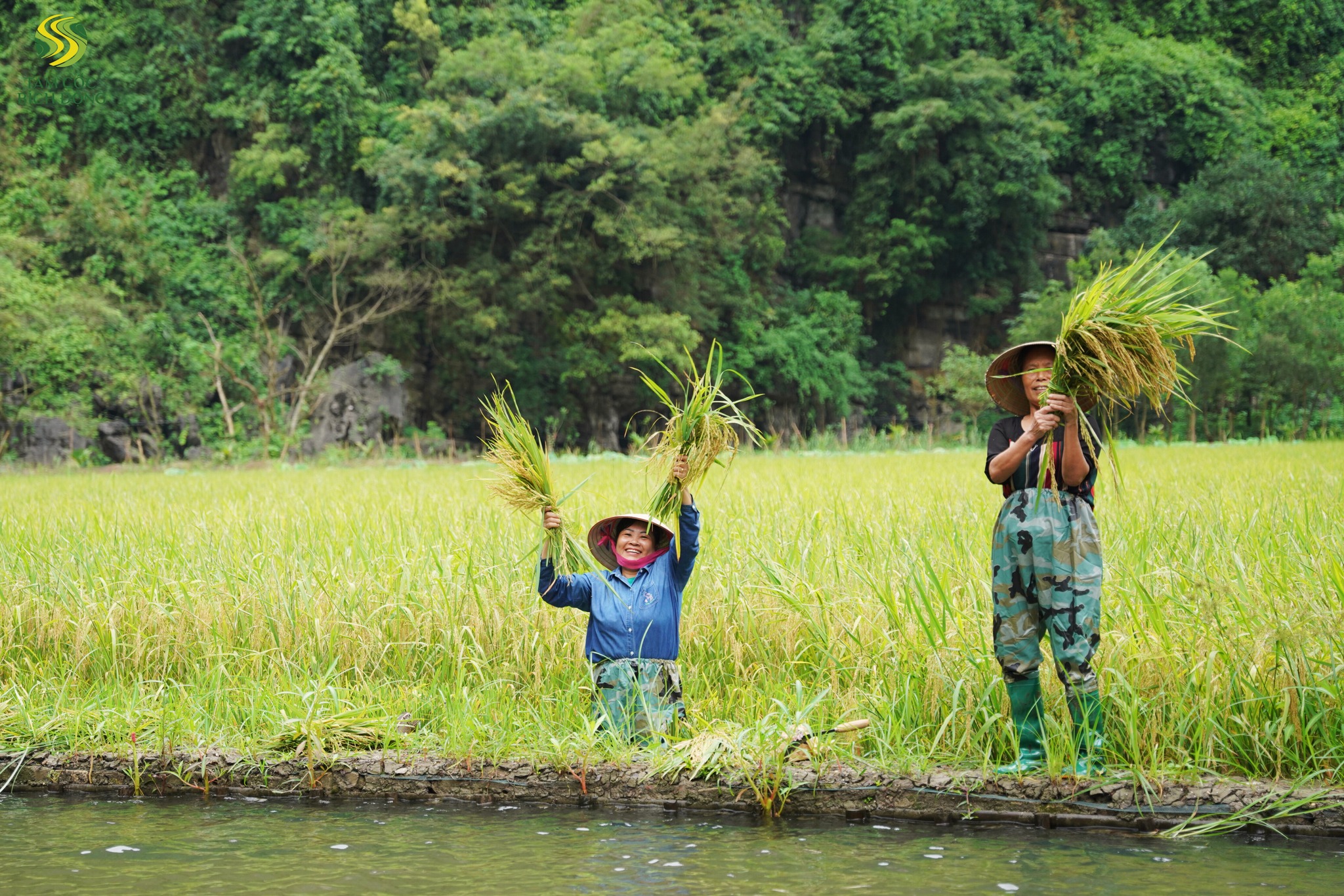 Quy hoạch tổng thể du lịch của Ninh Bình ưu tiên phát triển các loại hình du lịch sinh thái, du lịch cộng đồng.