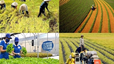 2025 rural, agricultural census is to be conducted