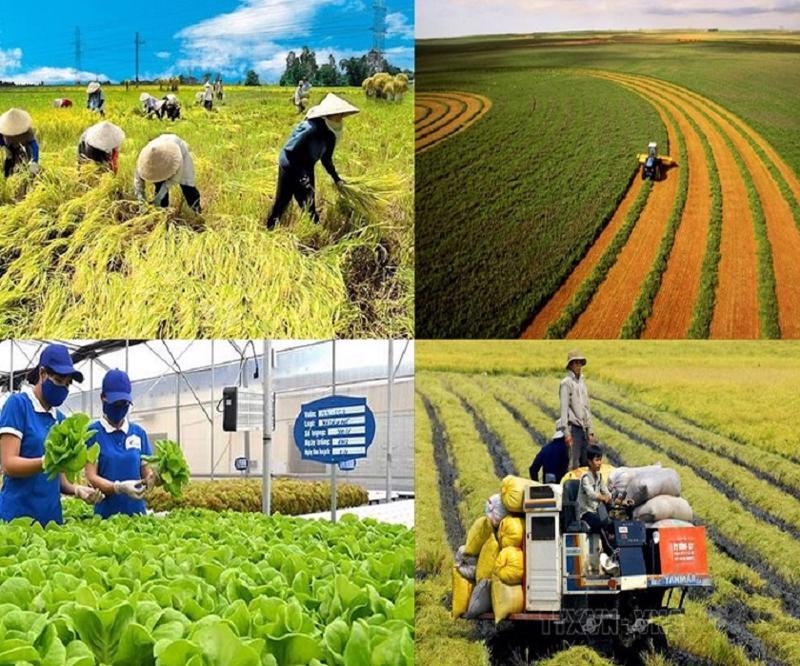 2025 rural, agricultural census is to be conducted