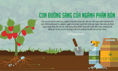 Con đường sáng của ngành phân bón