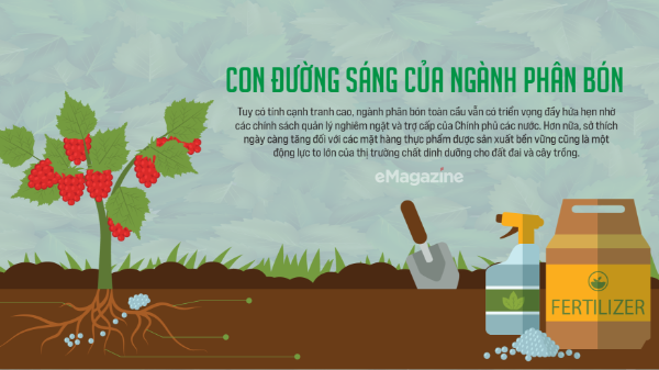 Con đường sáng của ngành phân bón