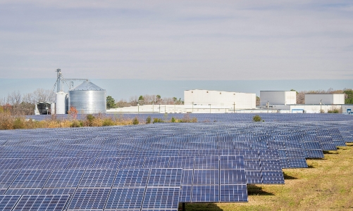 Vận dụng kinh nghiệm quốc tế trong xây dựng danh mục phân loại xanh ở Việt Nam