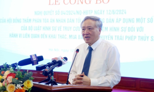 Hướng dẫn quy định truy cứu trách nhiệm hình sự khai thác, mua bán thủy sản trái phép