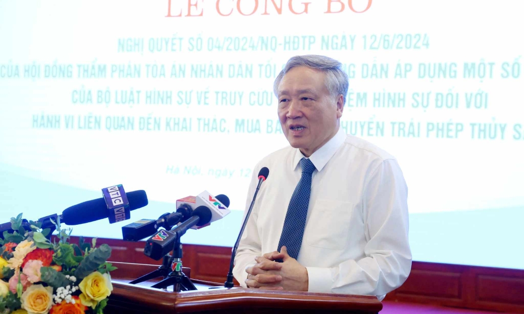 Chánh án TAND tối cao Nguyễn Hòa Bình phát biểu tại buổi lễ