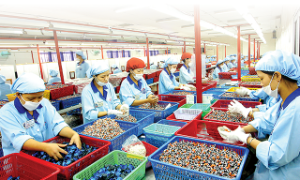 Bộ Tài chính lấy ý kiến đề xuất ưu đãi thuế thu nhập doanh nghiệp