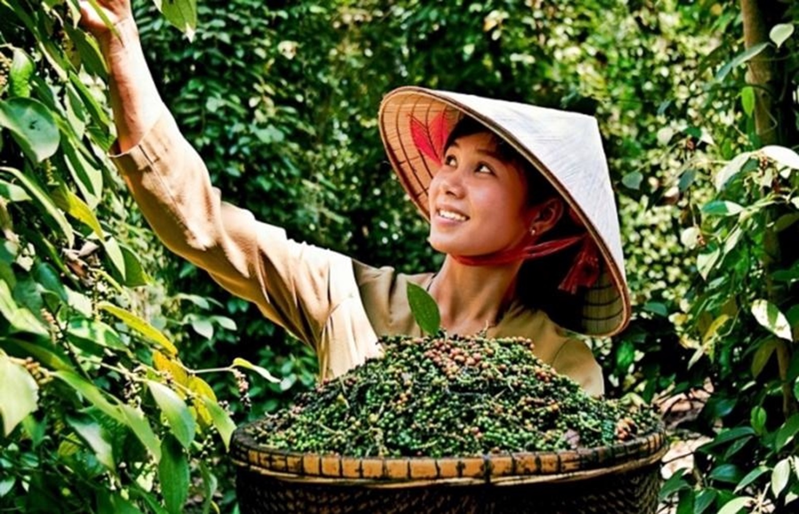 Nông dân trồng hồ tiêu vui mừng vì giá hồ tiêu tăng cao.
