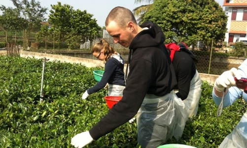 Đến năm 2030, du lịch thực sự trở thành ngành kinh tế mũi nhọn, phát triển theo hướng tăng trưởng xanh