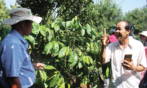 Xây dựng kho dữ liệu về nông nghiệp 