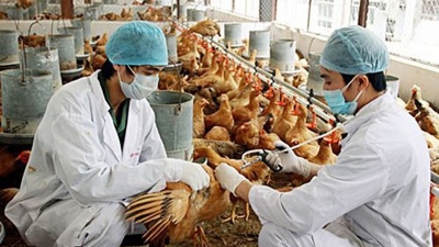 PM asks to enhance livestock and poultry disease prevention and control