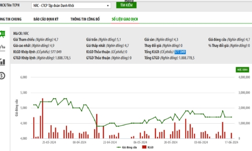 Mới lãi gần 3 tỷ, Danh Khôi muốn huy động tiền mua một phần dự án khu dân cư Đại Nam