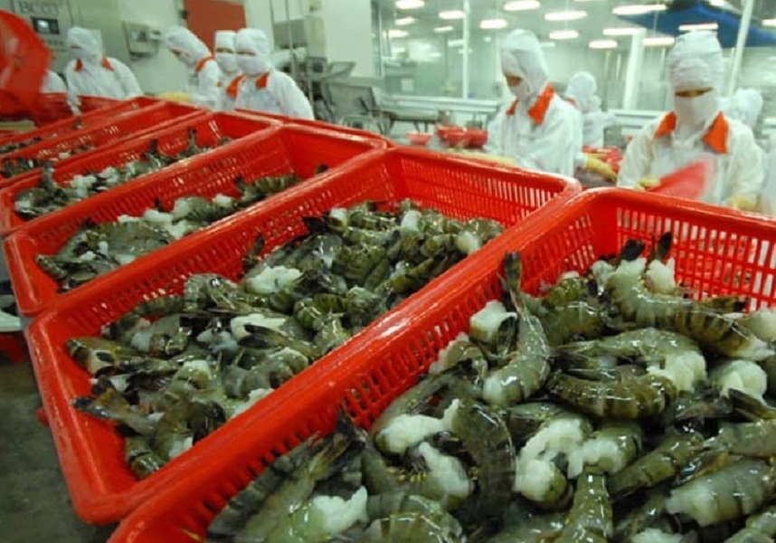 5 tháng đầu năm 2024, xuất khẩu tôm của Việt Nam đạt 1,3 tỷ USD, tăng 7% so với cùng kỳ năm ngoái.