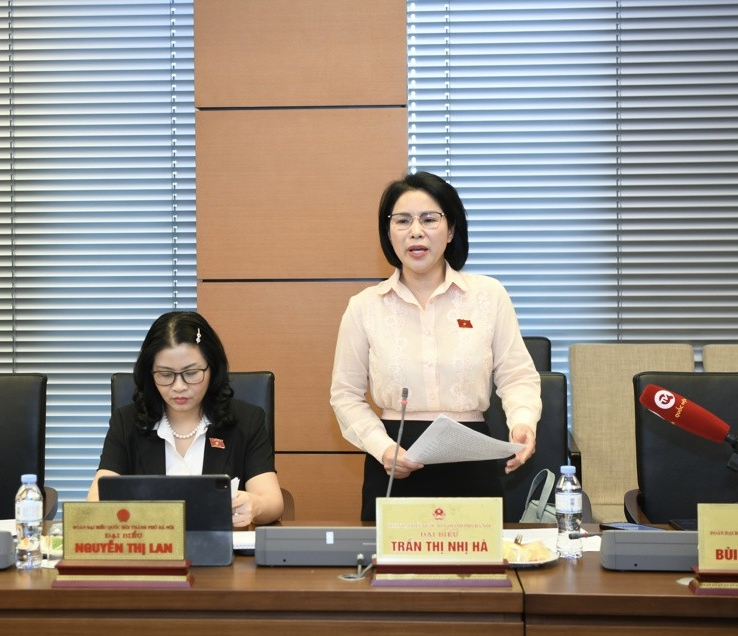 Đại biểu Trần Thị Nhị H&agrave;, đo&agrave;n Tp.H&agrave; Nội.