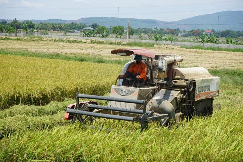 Thanh Hoa posts agro-forestry and fisheries production of $770 mln in 1H