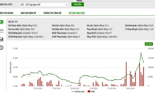 Tập đoàn CNT mất dữ liệu kế toán trong gần một năm, không thể khôi phục