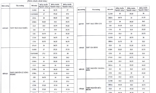 Thành phố Hồ Chí Minh: Điểm chuẩn lớp 10 chuyên có nhiều biến động