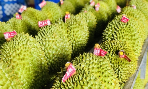 Việt Nam có thể vượt Malaysia, trở thành đối tác xuất khẩu lớn nhất sang Trung Quốc trong khối ASEAN