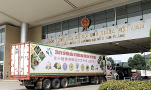 VCCI đề nghị bảo mật thông tin doanh nghiệp trên nền tảng cửa khẩu số