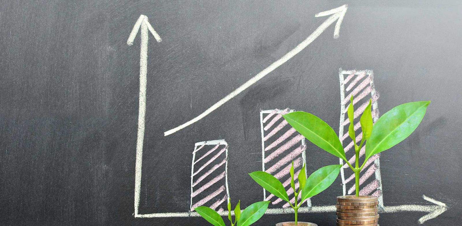 IFC hướng tới hỗ trợ chương trình tài chính khí hậu và tài chính toàn diện cho Việt Nam.