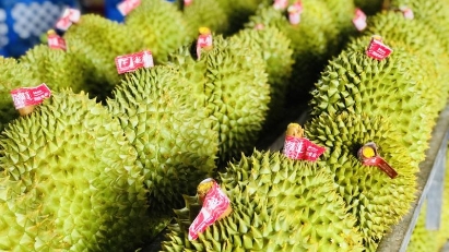 Vietnam's exports to China reach $22.64 bln in 5M