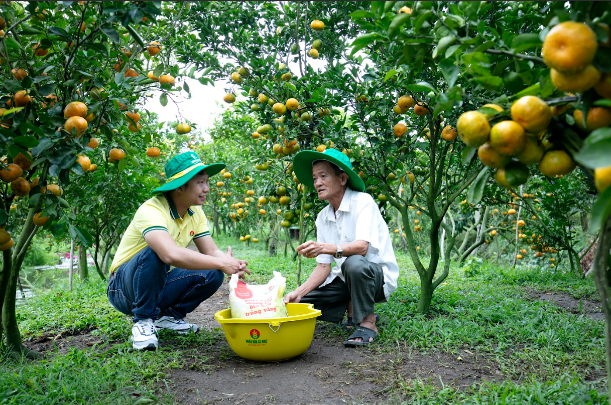 Kỹ sư Phân bón Cà Mau tư vấn cho nông dân về quy trình, kỹ thuật canh tác.
