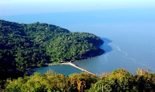 Cà Mau thành lập Khu bảo tồn biển 27.000 ha