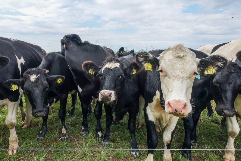 Ảnh minh họa: Getty Images