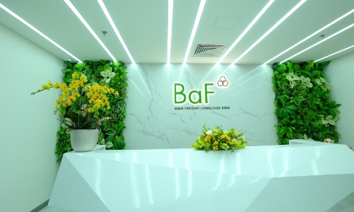 BaF Việt Nam thông tin về việc bị xử phạt hành chính cổ phiếu ESOP phát hành chưa thành công